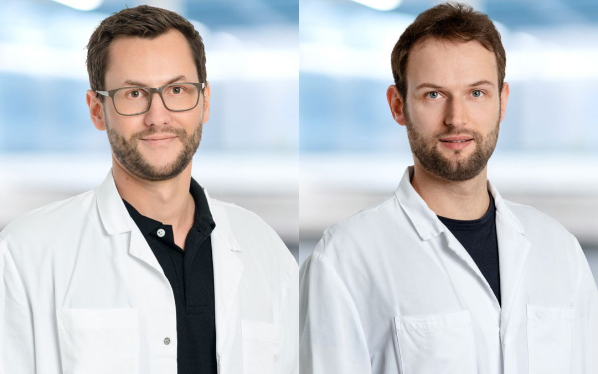 Unterschied Dr Und Dr Med